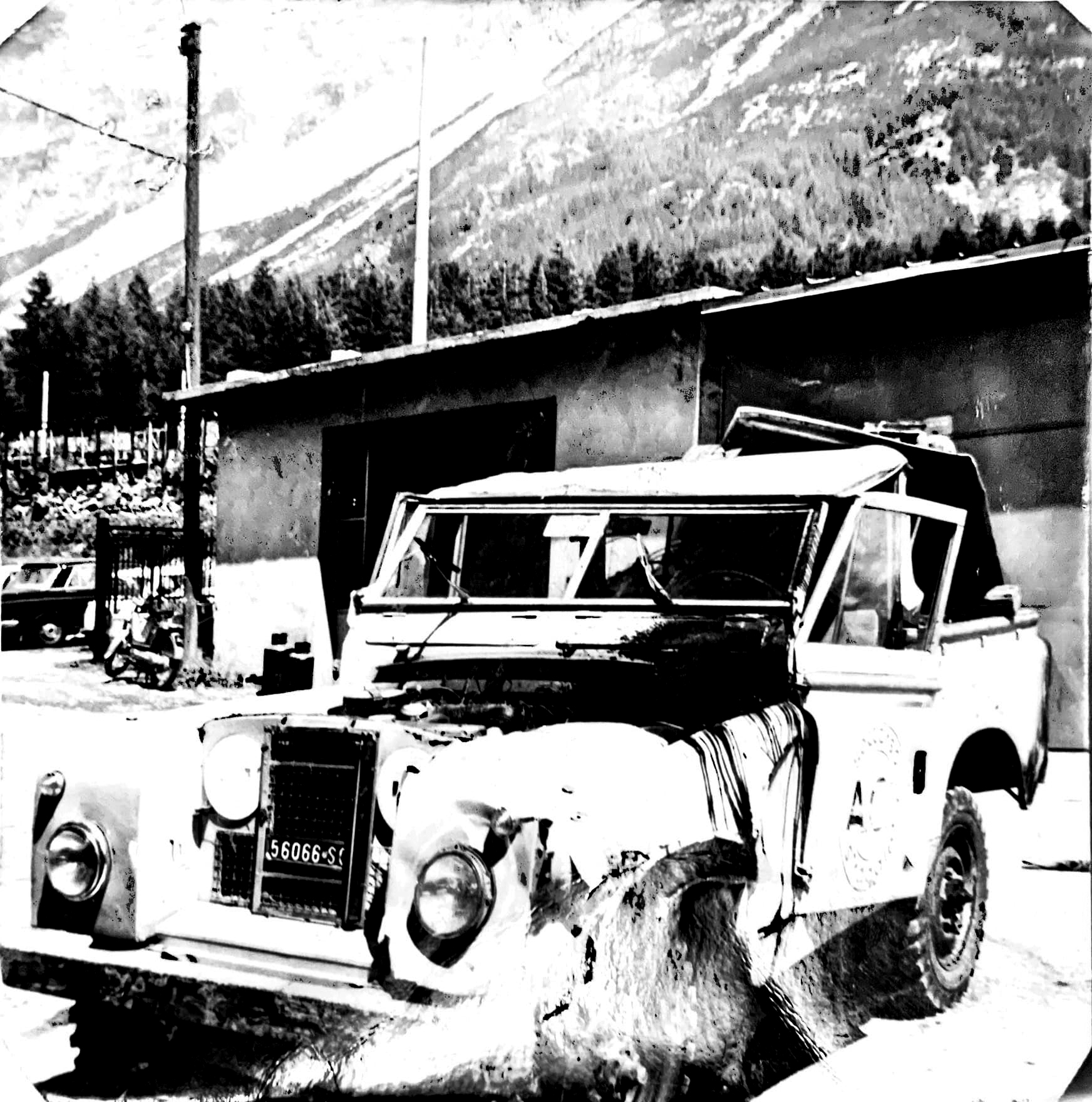 Vintage Photo 1